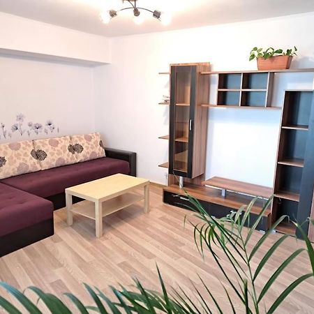 부쿠레슈티 Apartament Titulescu/Banu Manta 아파트 외부 사진