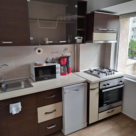 부쿠레슈티 Apartament Titulescu/Banu Manta 아파트 외부 사진